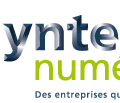 logo-syntec-numerique
