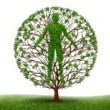 12668178-arbre-avec-des-branches-et-des-feuilles-vertes-en-forme-d-39-un-corps-anatomique-personnes-sur-blanc