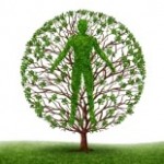 12668178-arbre-avec-des-branches-et-des-feuilles-vertes-en-forme-d-39-un-corps-anatomique-personnes-sur-blanc