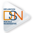 #DSN : ce qu’il faut retenir & revue de veille, mois par mois